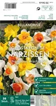 Blumenzwiebeln - Narz. Grosskronig Mischung x20