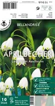 Blumenzwiebeln - Leucojum aestivum x10