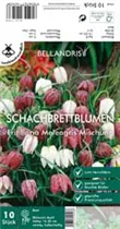 Blumenzwiebeln - Fritillaria meleagris Mischung x10