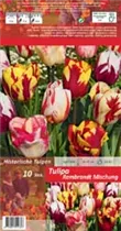 Blumenzwiebeln - Tulpen Rembrandt Mischung