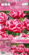 Blumenzwiebeln - Gefüllte Tulpe Columbus, 10 Stück