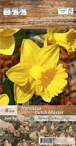Blumenzwiebeln - Narzissen Dutch Master