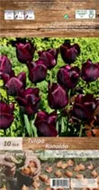 Blumenzwiebeln - Tulpen Ronaldo