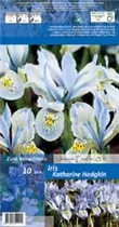 Blumenzwiebeln - Iris Katharine Hodgkin x10