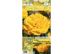 Blumenzwiebeln - Tulpen Yellow Pompenette x10 Gefüllte späte gelb Blumenzwiebeln - Tulpen Yellow Pompenette x10 Gefüllte späte gelb