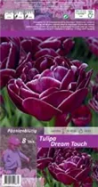 Blumenzwiebeln - Tulpen Dream Touch Gefüllte Späte purpurviolett-weiß, 8 Stück