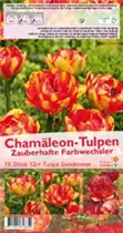 Blumenzwiebeln - Tulpen Sundowner / Gefüllte Späte gelb-rot, 18 Stück