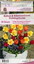Blumenzwiebeln - Sort. B&K Frühlingsfreude