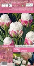 Blumenzwiebeln - Tulpen Ice Cream Gefüllte Späte weiß rosa, 3 Stück