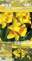 Blumenzwiebeln - Trompeten Narzissen Standard Value gelb, 8 Stück Blumenzwiebeln - Trompeten Narzissen Standard Value gelb, 8 Stück