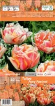 Blumenzwiebeln - Tulpen F / Gefüllte späte lachs orange, 10 Stück