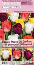 Blumenzwiebeln - Sort. Flower Power im Garten x25
