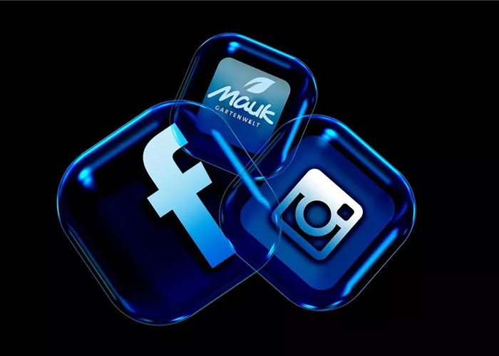 - Social Media  - Social Media