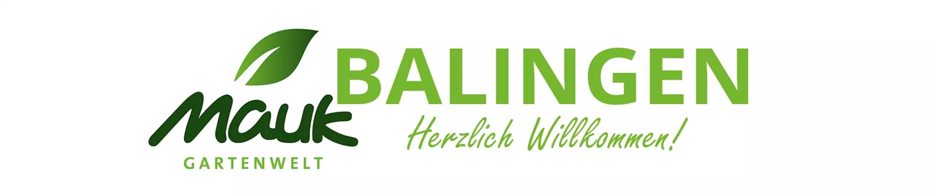 Titelbild Balingen Titelbild Balingen