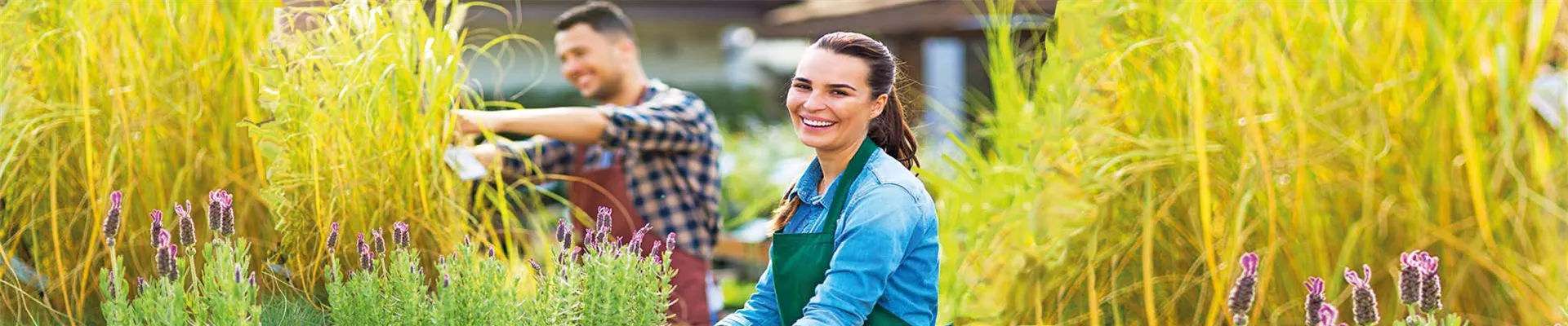Titelbild Gartenberatung