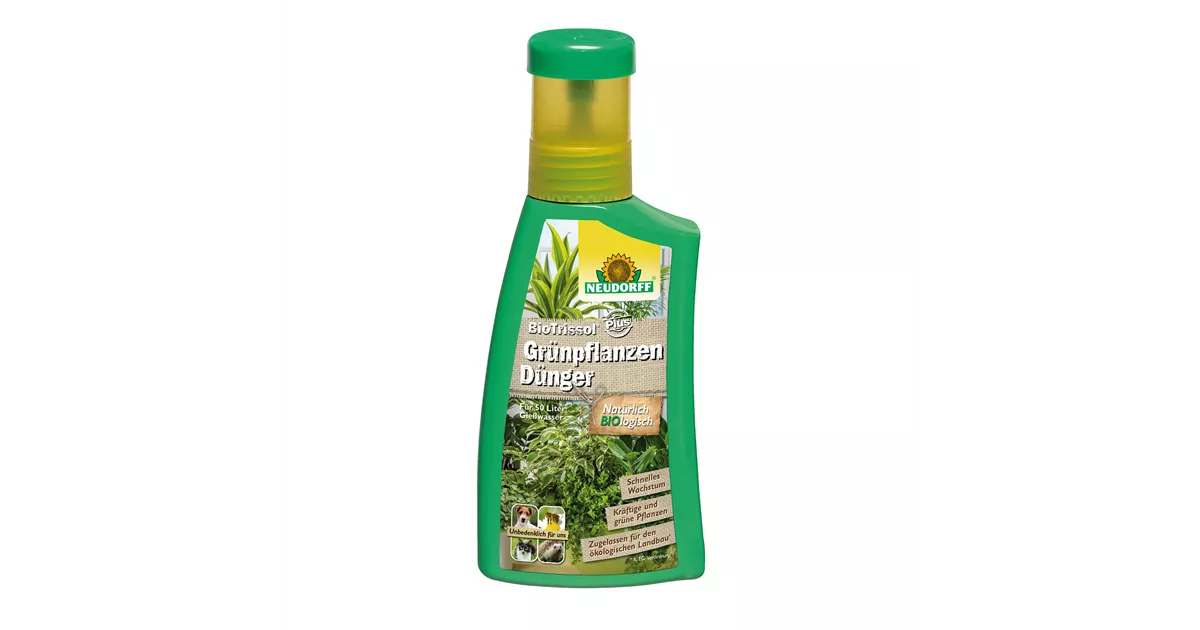 dattelpalmen düngen Purgrün Dattelpalme-Dünger 1 Liter main image 0