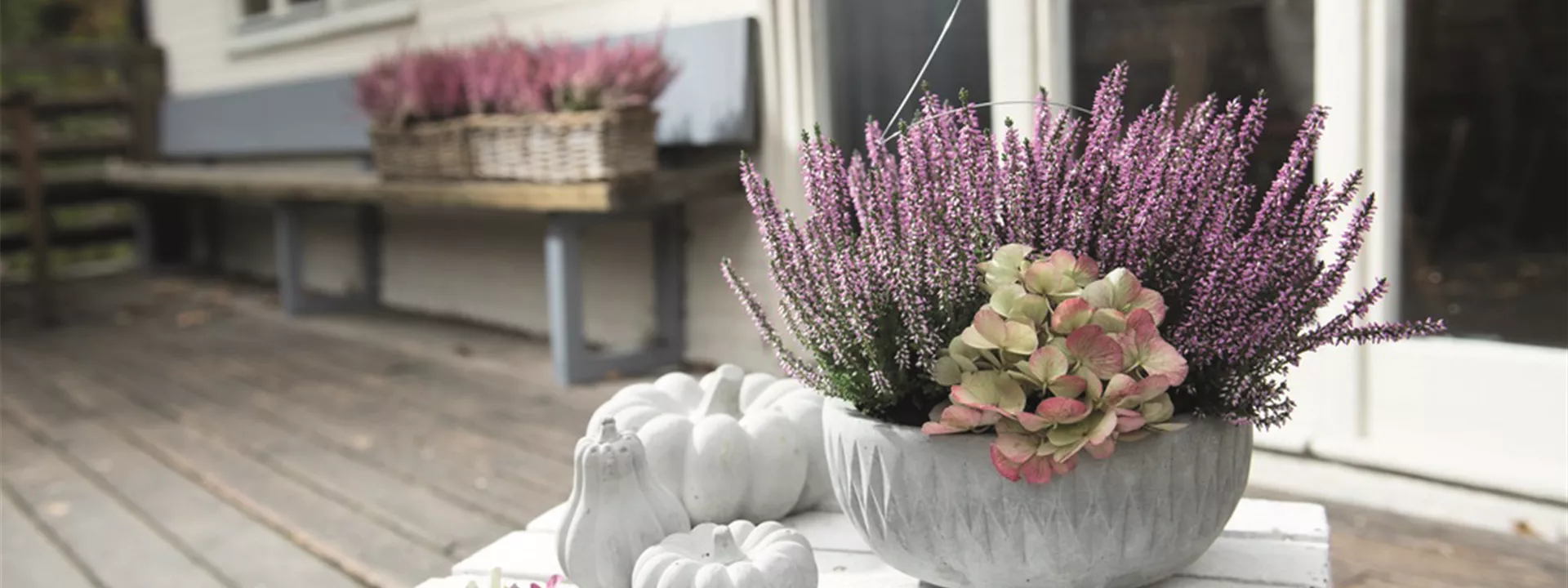 Pflanzschale mit Heide_158513_BELLANDRIS_SAGAFLOR_AG-PowerPoint