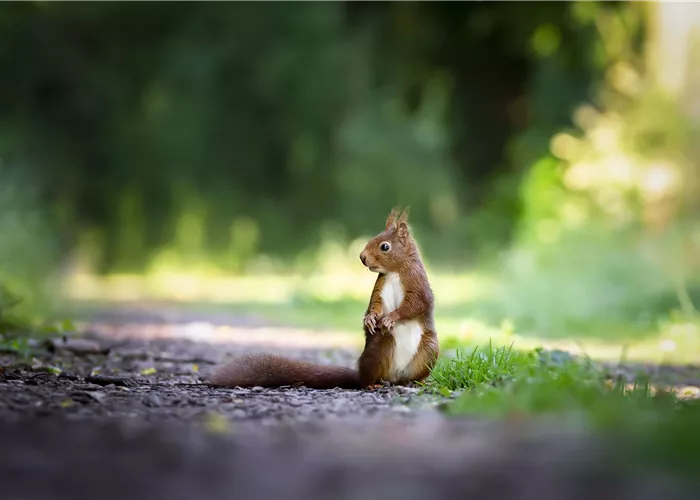 Tierfutter & Zubehör Tierfutter & Zubehör