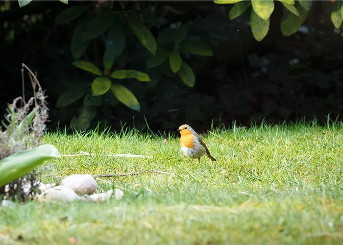  - Vogelhäuser & Vogelfutterhäuser