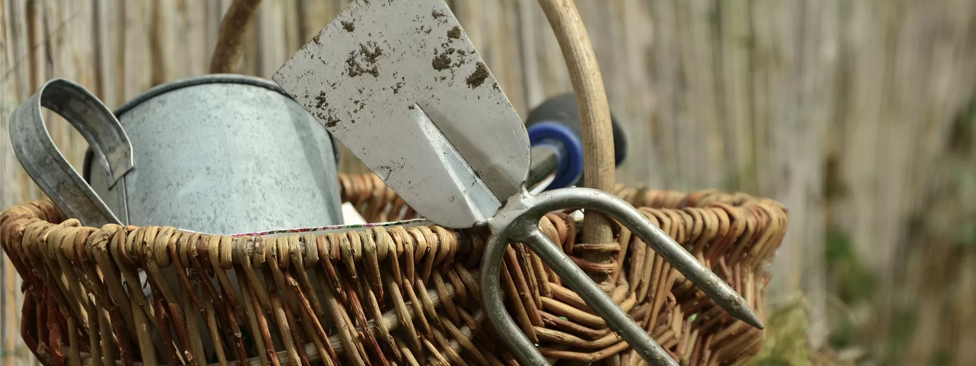 garden-1290900 garden-1290900