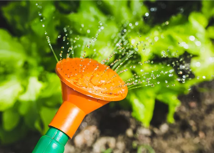 Gartenbewässerung Gartenbewässerung