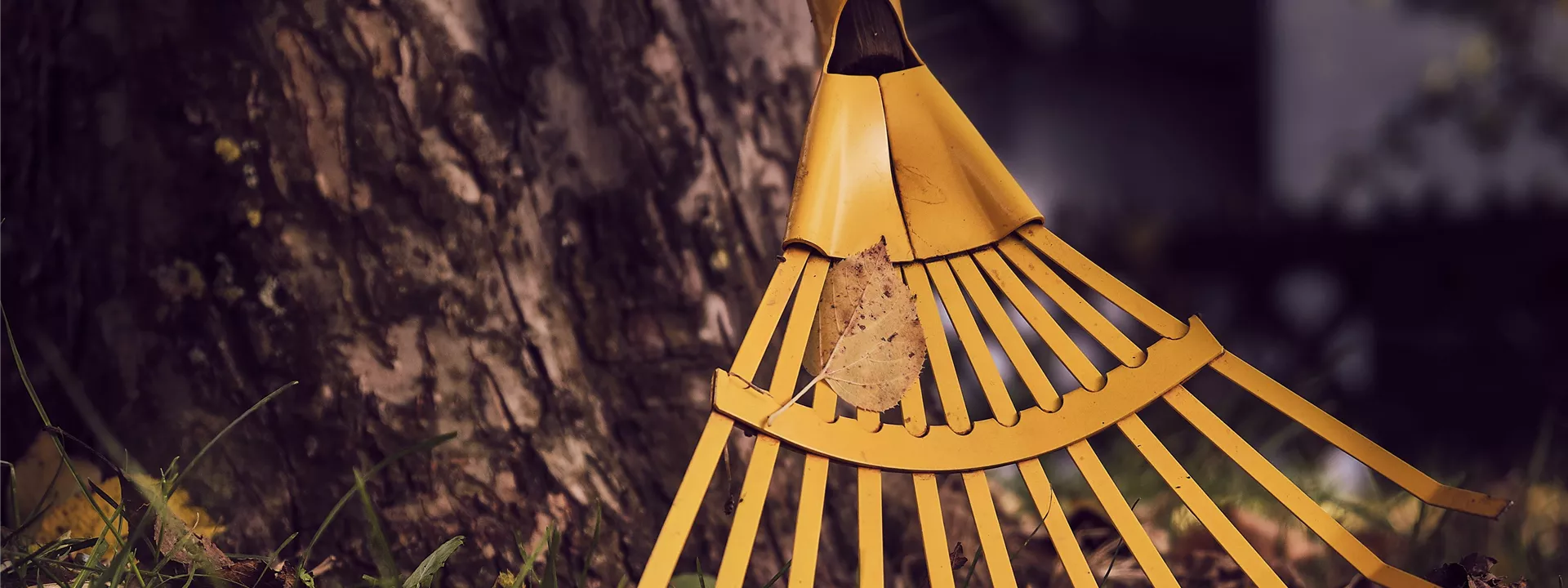 computing-4591223 computing-4591223