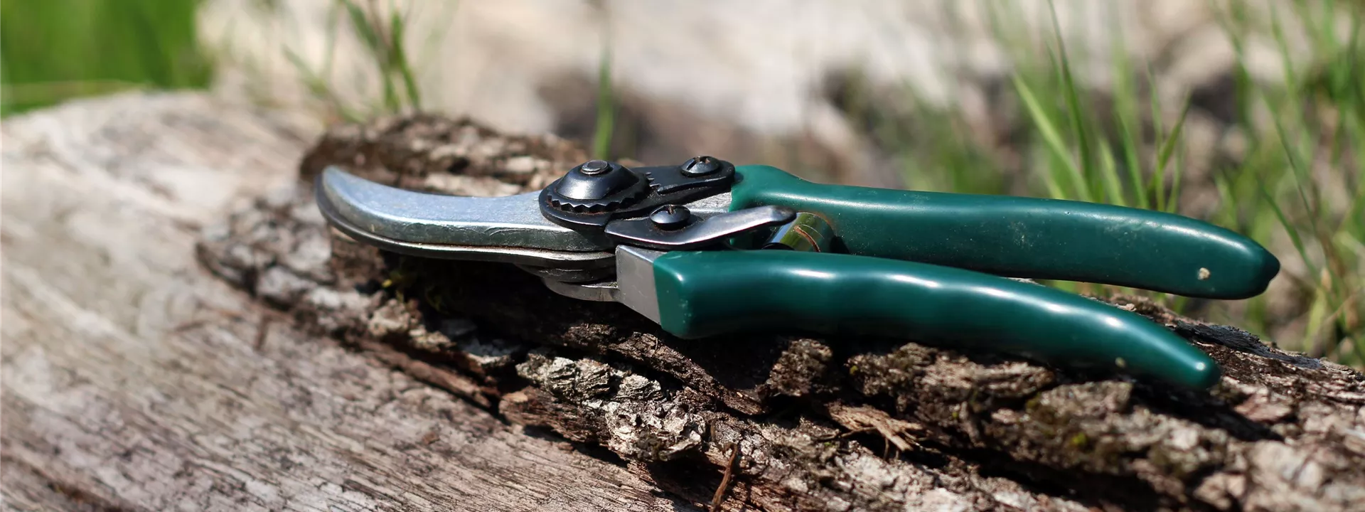 shears-1336374 shears-1336374