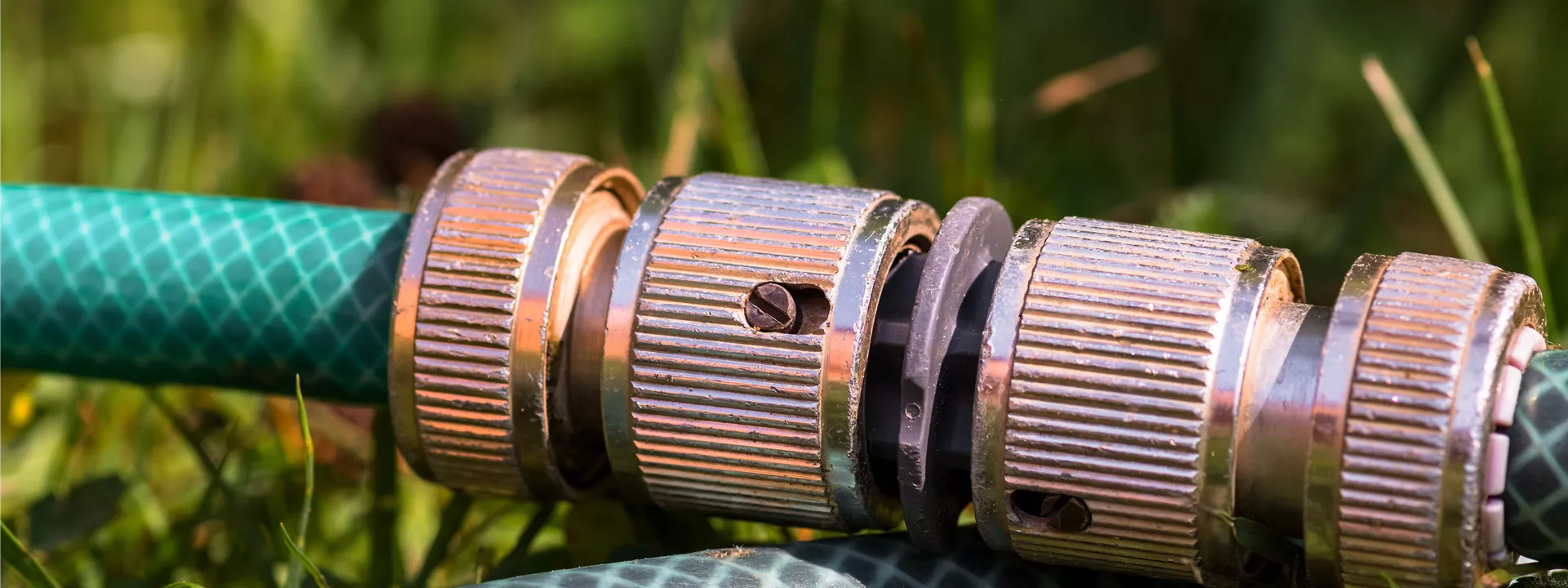 garden-hose-3397170 garden-hose-3397170