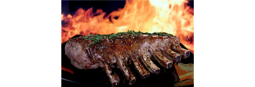 Weber Gasgrill Weber Gasgrill