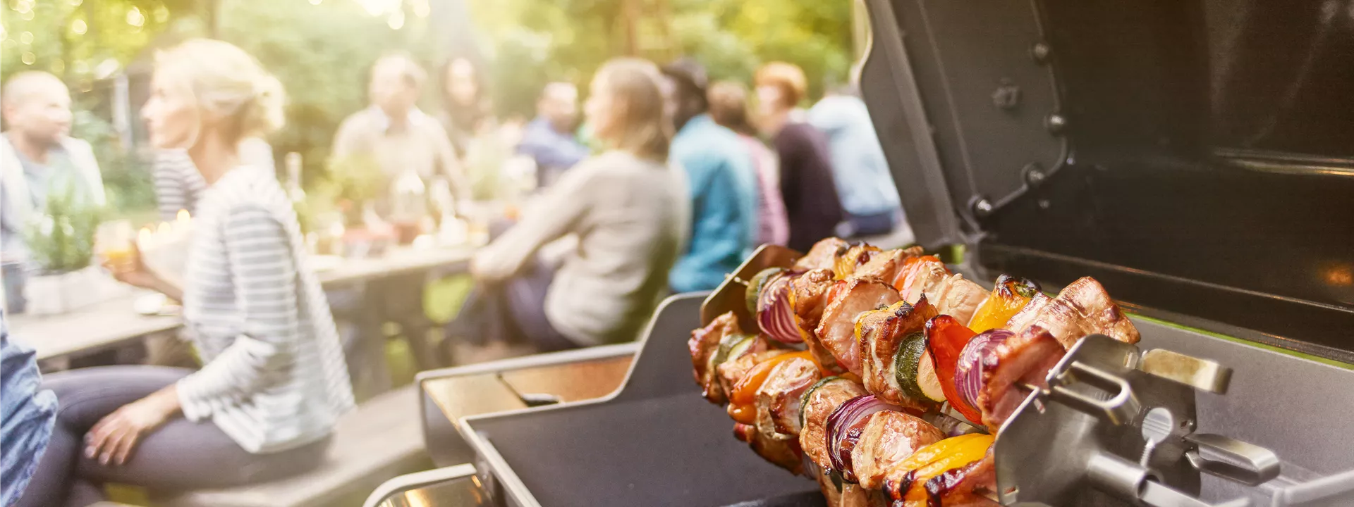 2015_S_Spirit_E320_Classic_Skewer_Set_for_Rotisserie_Party_0648_R_0681_R 2015_S_Spirit_E320_Classic_Skewer_Set_for_Rotisserie_Party_0648_R_0681_R