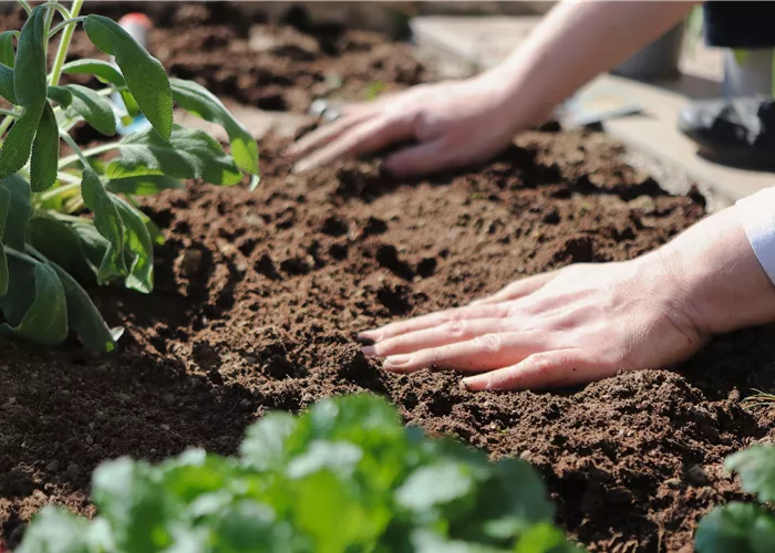 Pflanzenschutz Pflanzenschutz