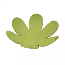 MAXPHIL living - Blüte grün