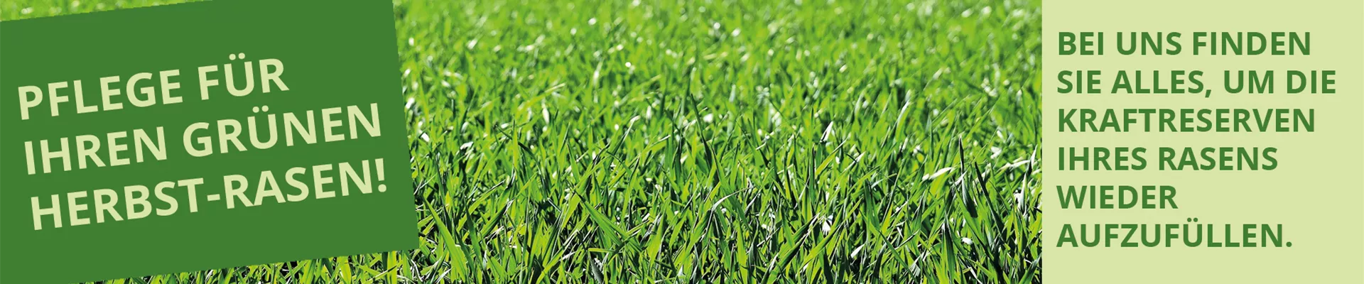 Slider Herbstrasen Slider Herbstrasen