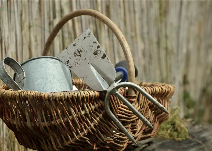 - Gartenhacken & Handgrubber  - Gartenhacken & Handgrubber