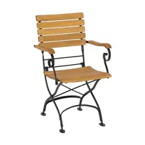 Stern Klappsessel - Camargue schwarz mit geölter Robinienbelattung