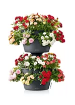 Lechuza Zubehörset - Cascada Color Erweiterungsset für Blummenturm Lechuza Zubehörset - Cascada Color Erweiterungsset für Blummenturm