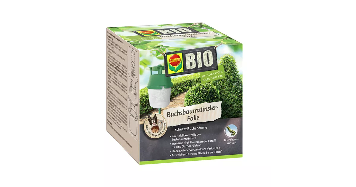 saatgut samenfest bio Fleischtomate Green Zebra Samen kaufen  Bio-zertifiziert