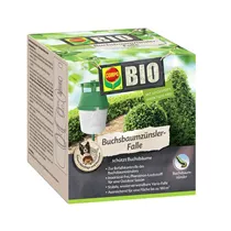 Compo - Buchsbaumzünsler 1 Falle