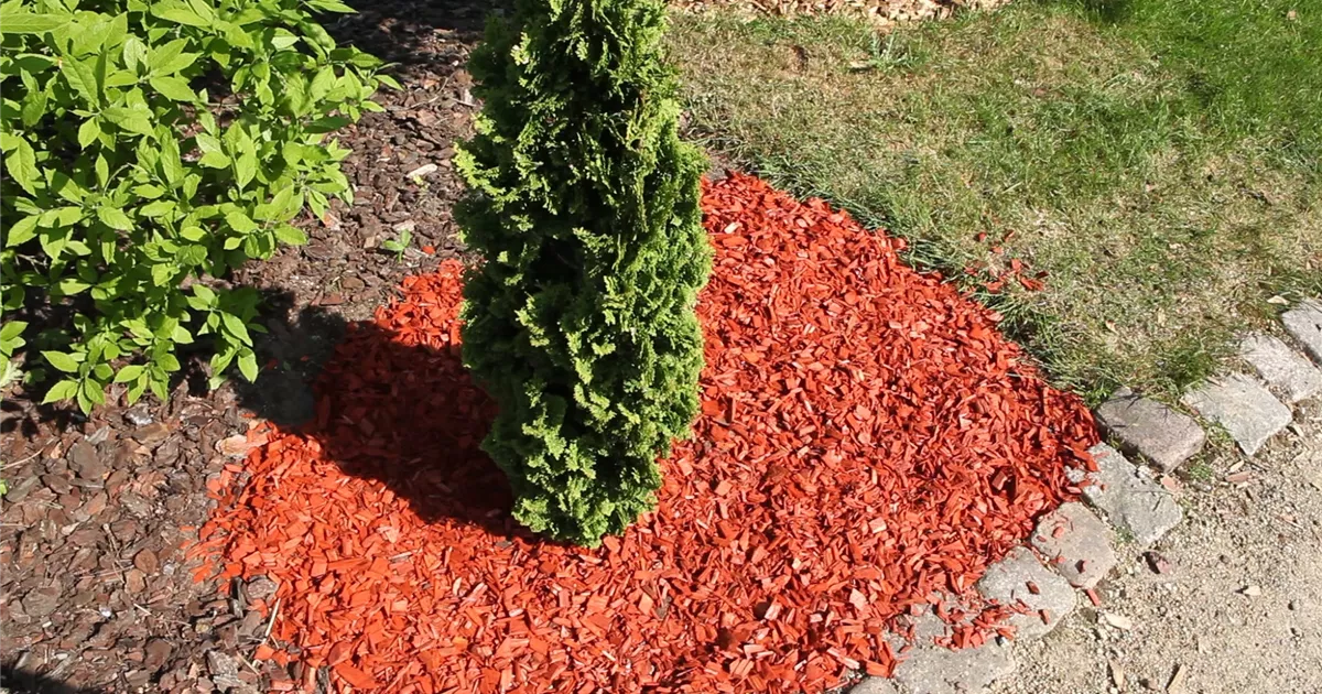  - Mulch - Einsatz im Garten