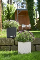 Lechuza Pflanzkübel - Cube Cottage Komplettset 40 - Weiß Lechuza Pflanzkübel - Cube Cottage Komplettset 40 - Weiß