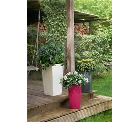 Lechuza Blumentopf - Cubico Color 22 Komplettset - Weiß Lechuza Blumentopf - Cubico Color 22 Komplettset - Weiß