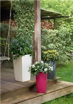 Lechuza Blumentopf - Cubico Color 22 Komplettset - Weiß Lechuza Blumentopf - Cubico Color 22 Komplettset - Weiß