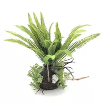 Sagaflor - Deko Farn im Erdballen