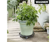 - Multi Roller D300 mm, Stahlblech, schwarz, 4LR, D38 mm, TK 100 kg  - Multi Roller D300 mm, Stahlblech, schwarz, 4LR, D38 mm, TK 100 kg