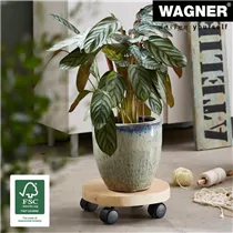 - Multi Roller D250-300 mm, Birke geölt, 4DR, D 40 mm, TK 50 kg  - Multi Roller D250-300 mm, Birke geölt, 4DR, D 40 mm, TK 50 kg