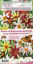 Blumenzwiebeln - Dahlien-Sortiment Honka Mischung - 4 Stück