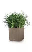 Lechuza - CUBE Cottage 30 sandbraun Lechuza - CUBE Cottage 30 sandbraun