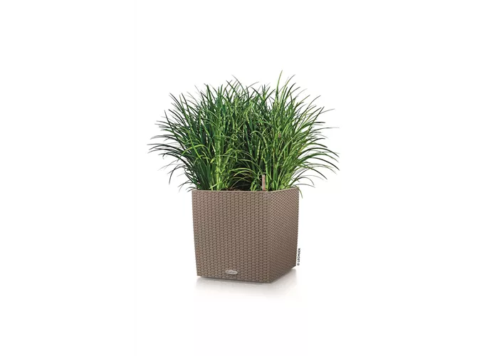 Lechuza - CUBE Cottage 30 sandbraun Lechuza - CUBE Cottage 30 sandbraun