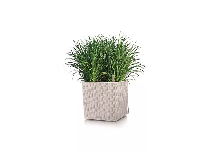 Lechuza - CUBE Cottage 30 lichtgrau