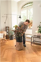 Lechuza - TRENDCOVER 32 Corklight natural